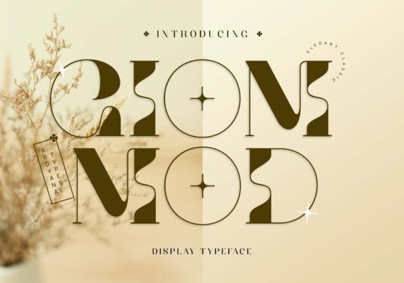 Giom Mod Font for Polished Web Design Projects