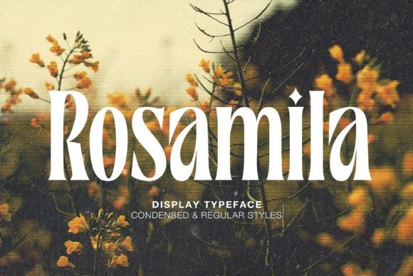 Rosamila Font for Stylish and Readable Web Design