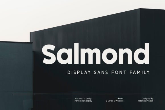 Salmond Font: A Modern Typeface for Clear, Bold Campaigns